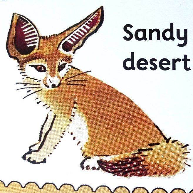 ks1, children's book, Oxford Reading Tree, staying alive, fennec fox