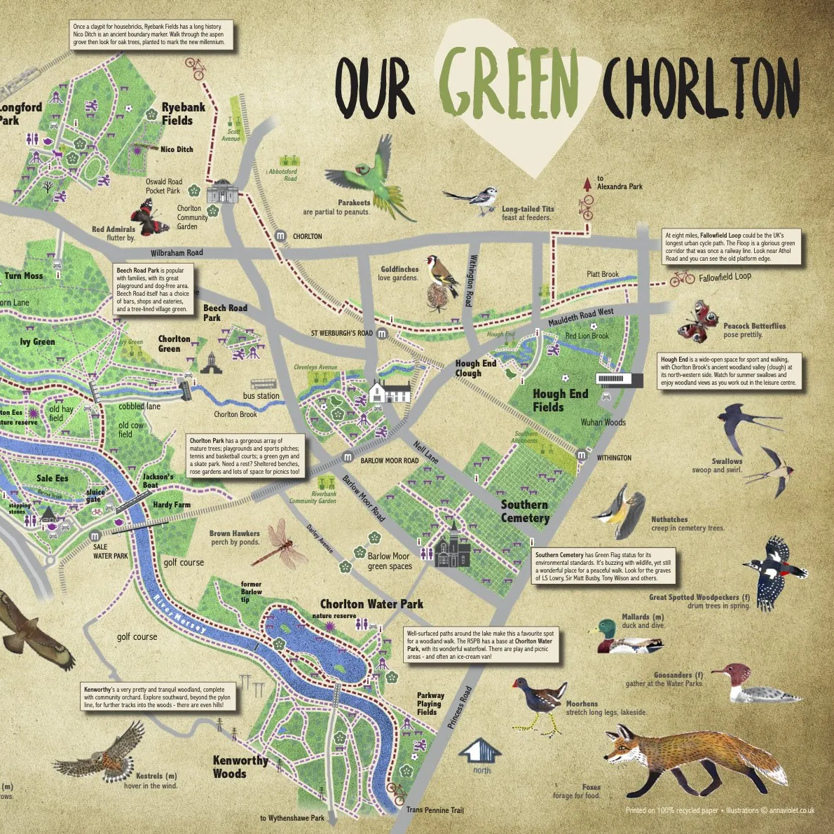 chorlton map, chorlton ees, chorlton meadows, sale water park, chorlton water park, bank vole, heron, ryebank fileds, turn moss, stretford ees