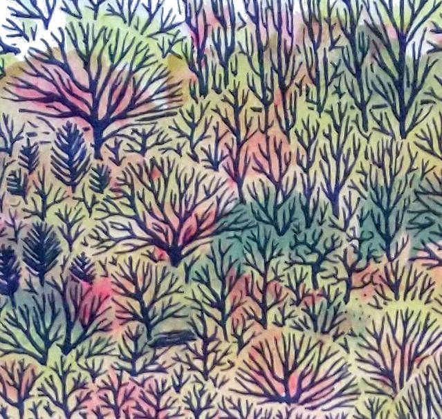 Chorlton Meadows, sale water park, River mersey, mersey,