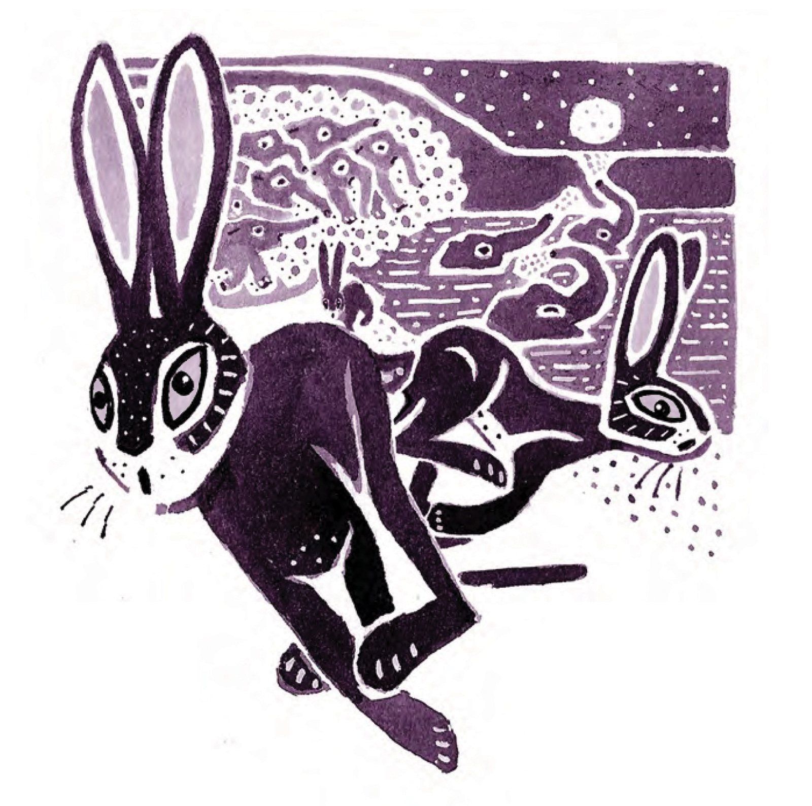 elephants, hares, Indian fable, moon, Narinder Dhami,  lake