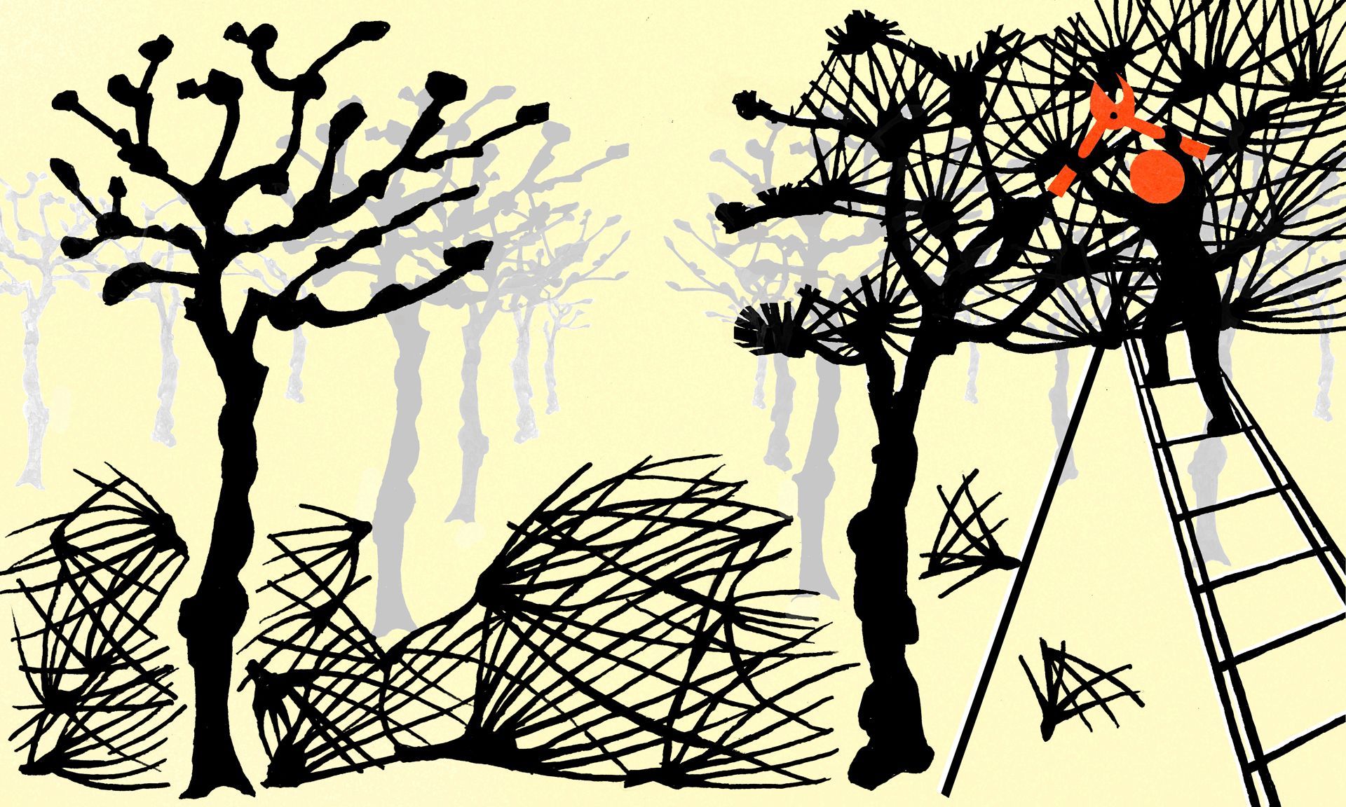 shadow play, sudbury halllime trees, pruning, grasshopper,bunting, childrens play,