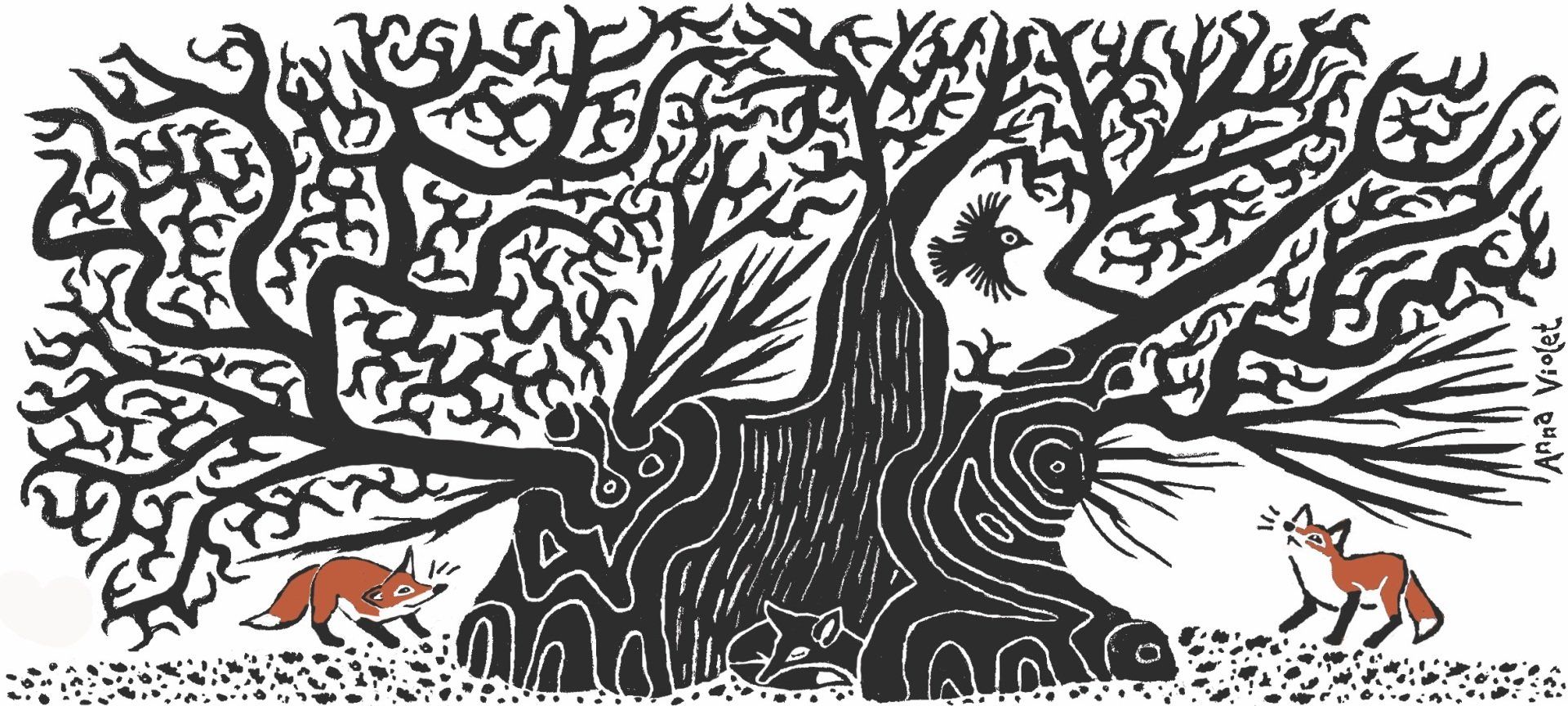 marton oak, oak, cheshire oak, oak tree, sleeping fox, anna violet illustrator,