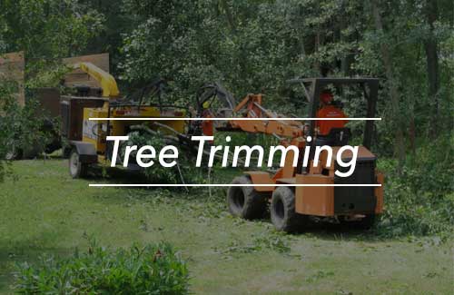Crane Service Tree Removal Meadville Pa Tree Trimming
