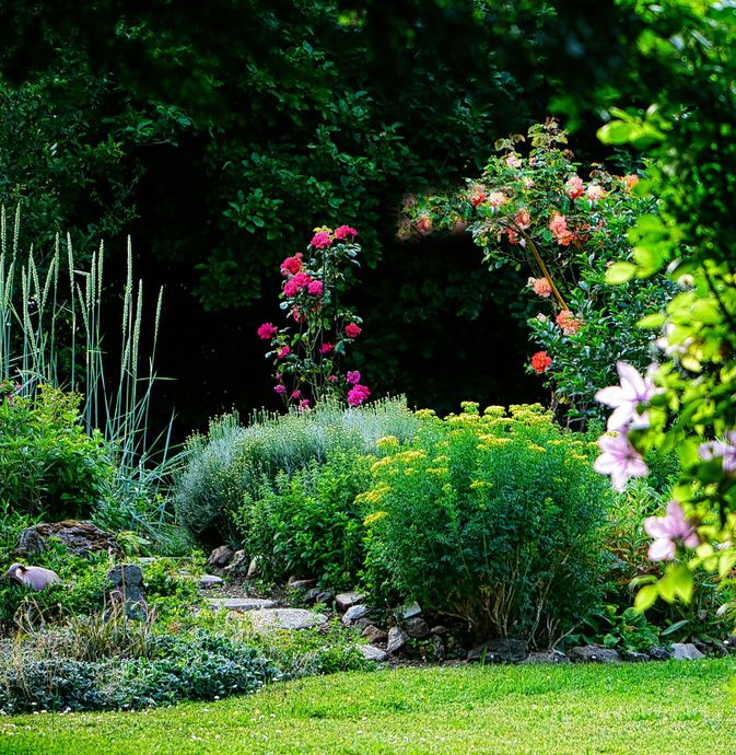 Lush garden with green shrubs, pink and white flowers, and a bright lawn under dense trees