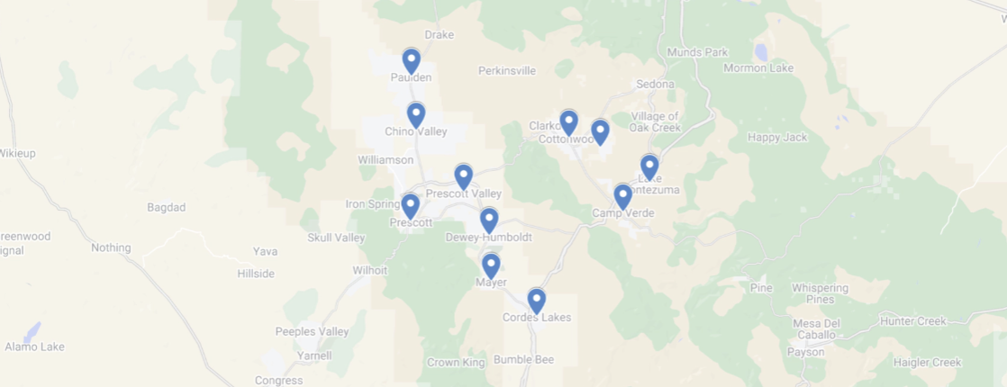 A map with a bunch of blue pins on it