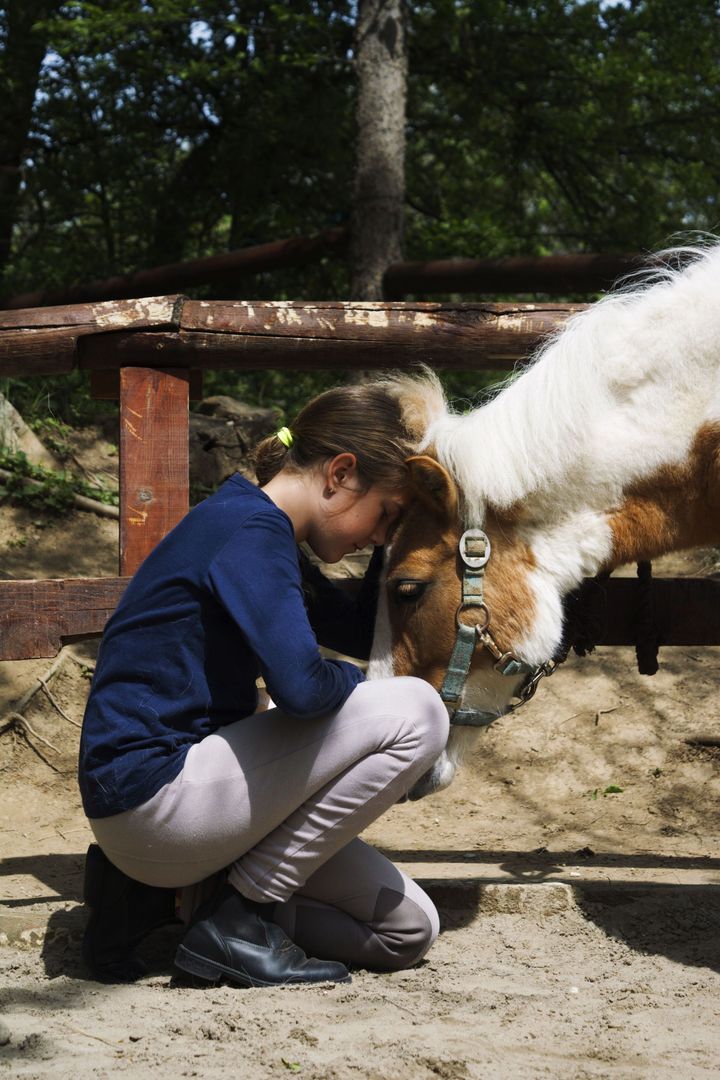 paardencoach ponycoach amersfoort leusden utrecht hoevelaken woudenberg zeist vathorst baarn soest soesterberg