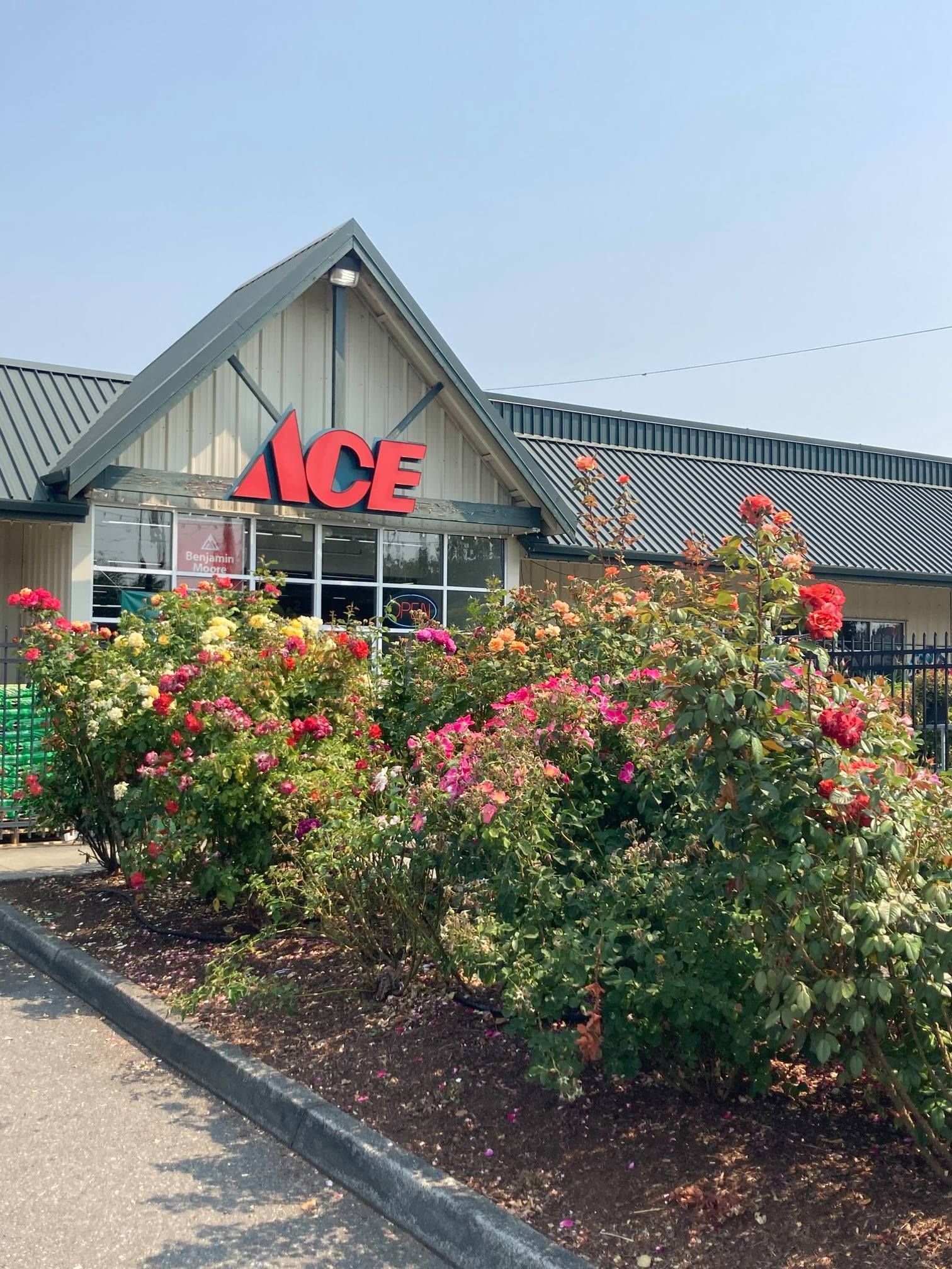 An ace hardware store with a lot of flowers in front of it