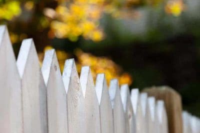 A close up of a white picket fence with trees in the background.