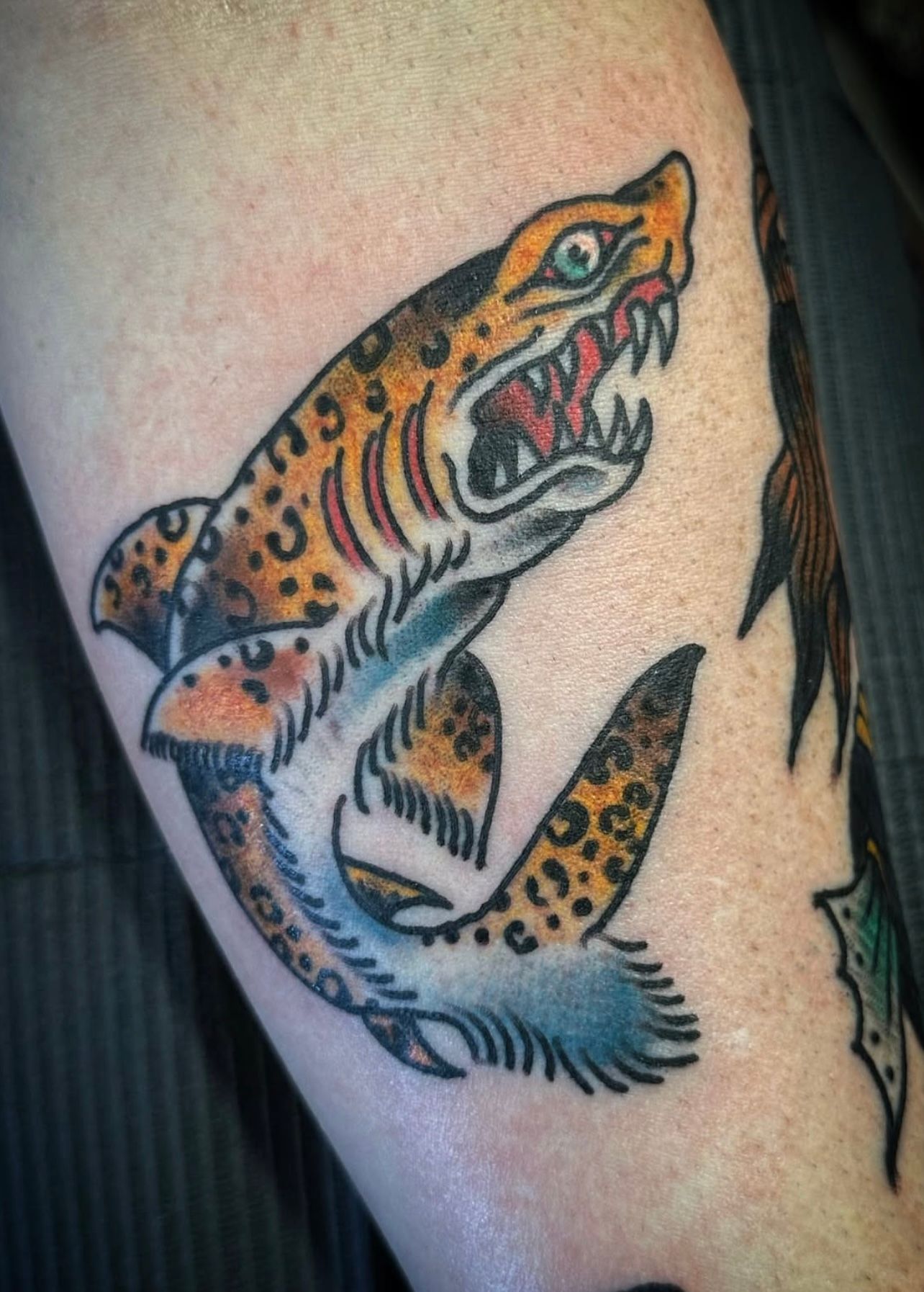 Traditional-shark-tattoo-best-tattoo-shop-Wahiawa-flash-tattoo-walk-in-tattoo-shop-near-me-Wahiawa-American-made-tattoo