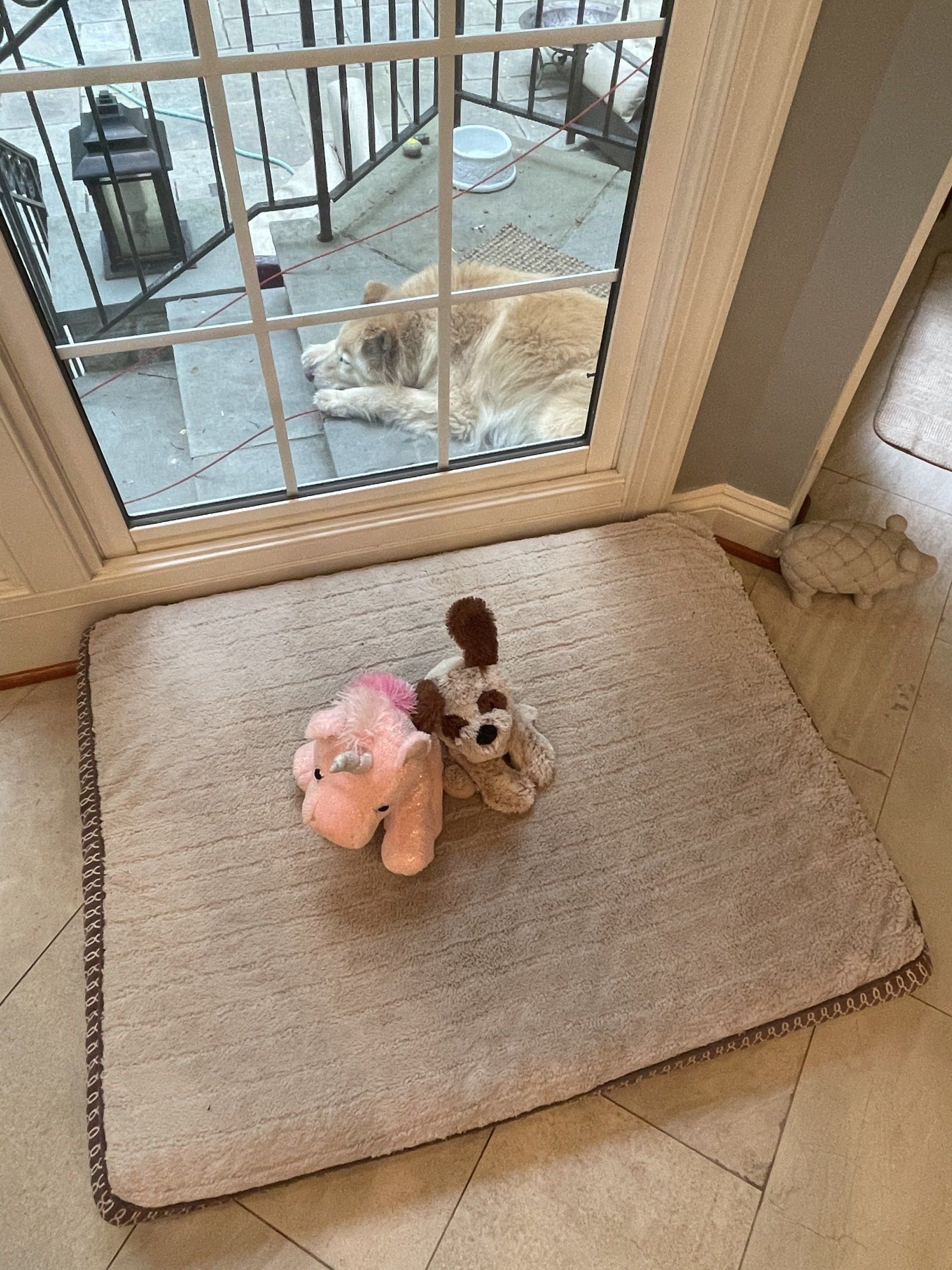 Entry Cleaning -  Sandy Spring, Maryland - Star Maids Cleaning Solutions