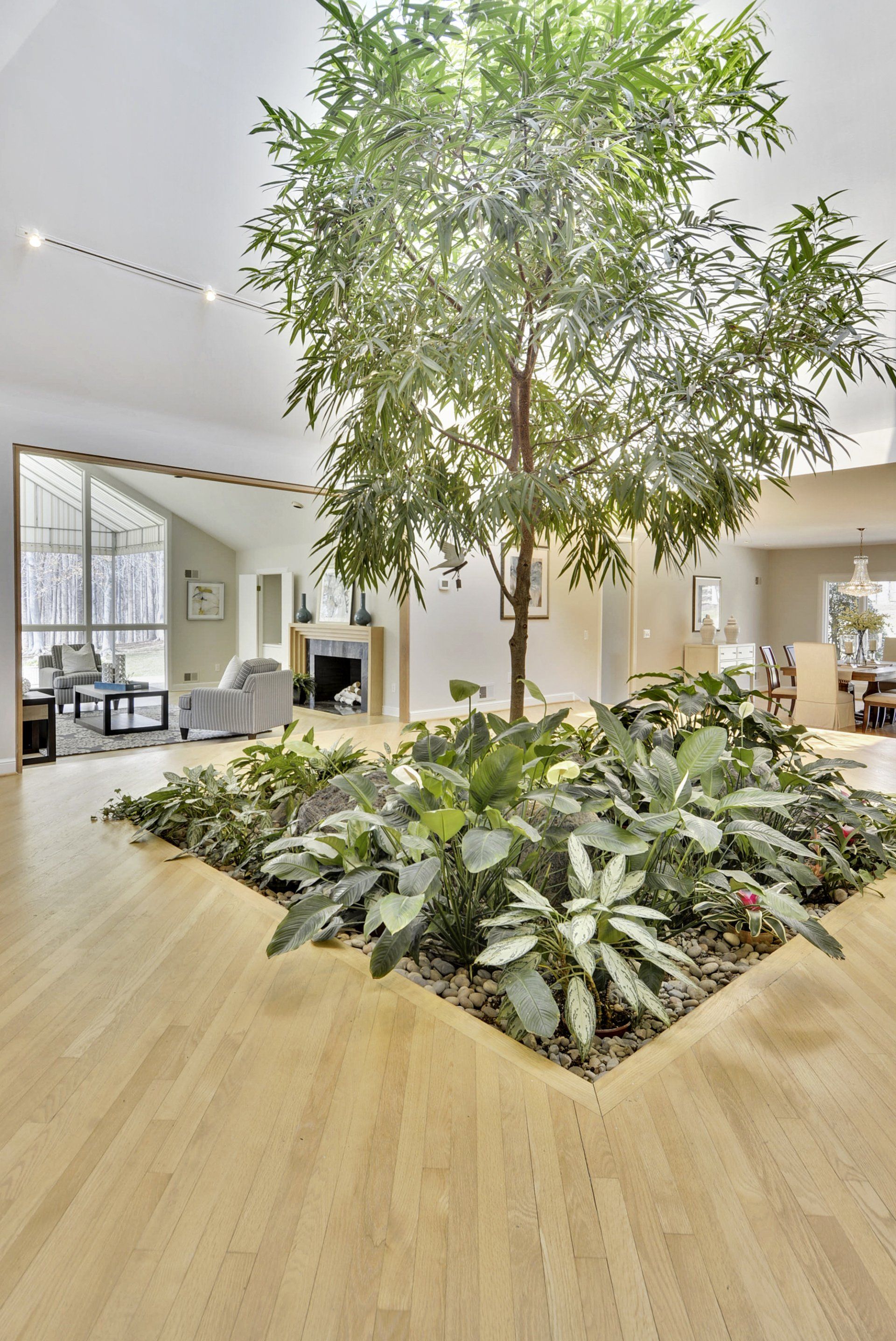 Plant - Star Maids Cleaning Solutions LLC