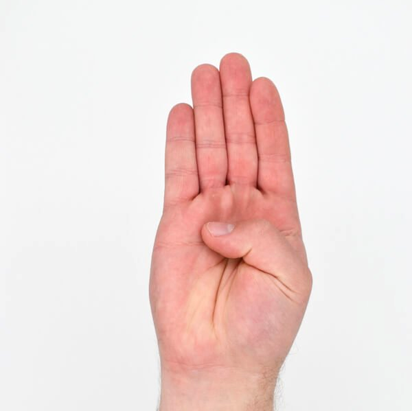 Letter 'B' in Sign Language (ASL)