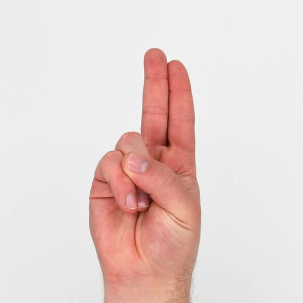 Letter 'U' in Sign Language (ASL)