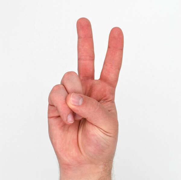 Letter 'V' in Sign Language (ASL)