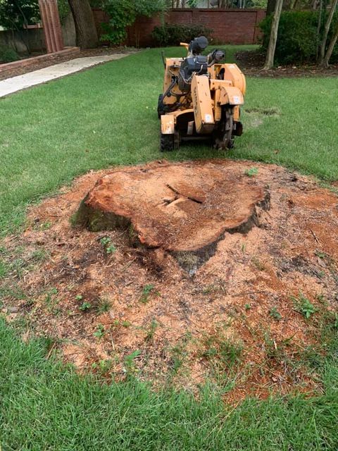Worker Cutting the Stump — Aiken, SC — Tree Surgeons, LLC