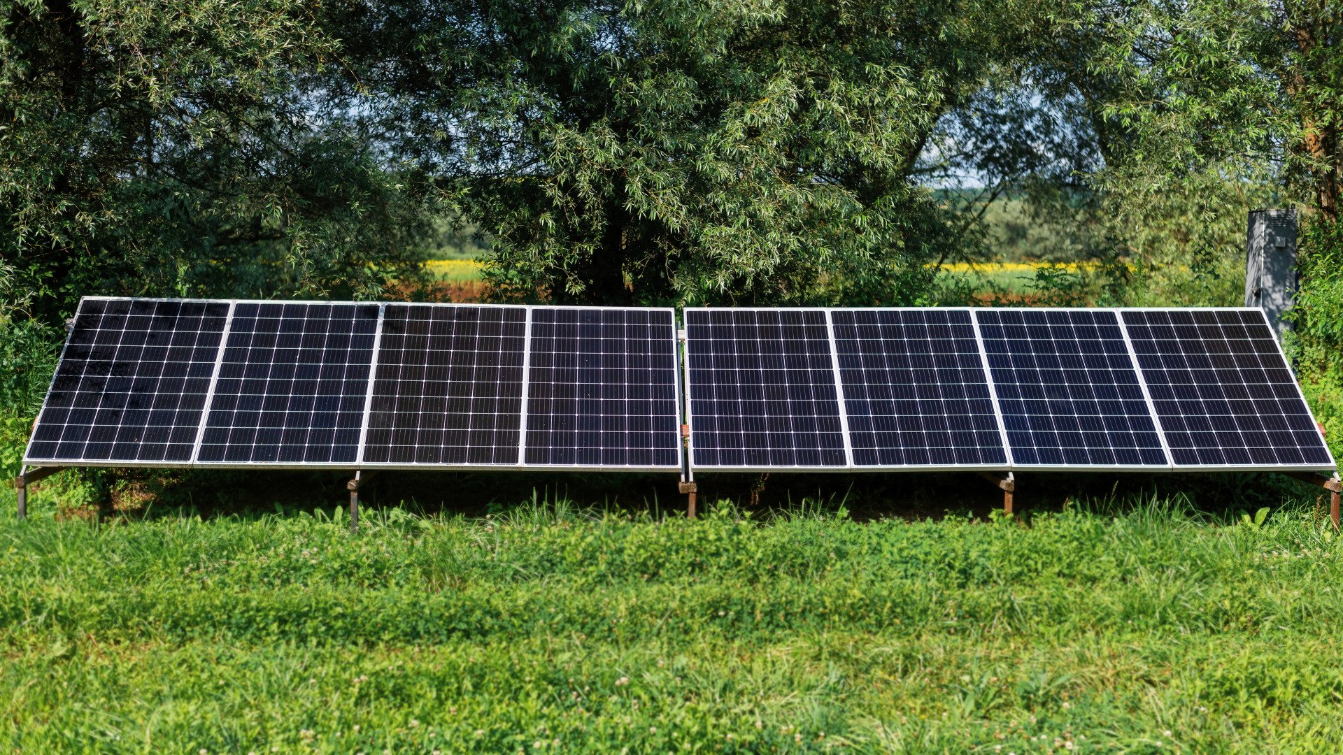 solar panels on the grassy ground