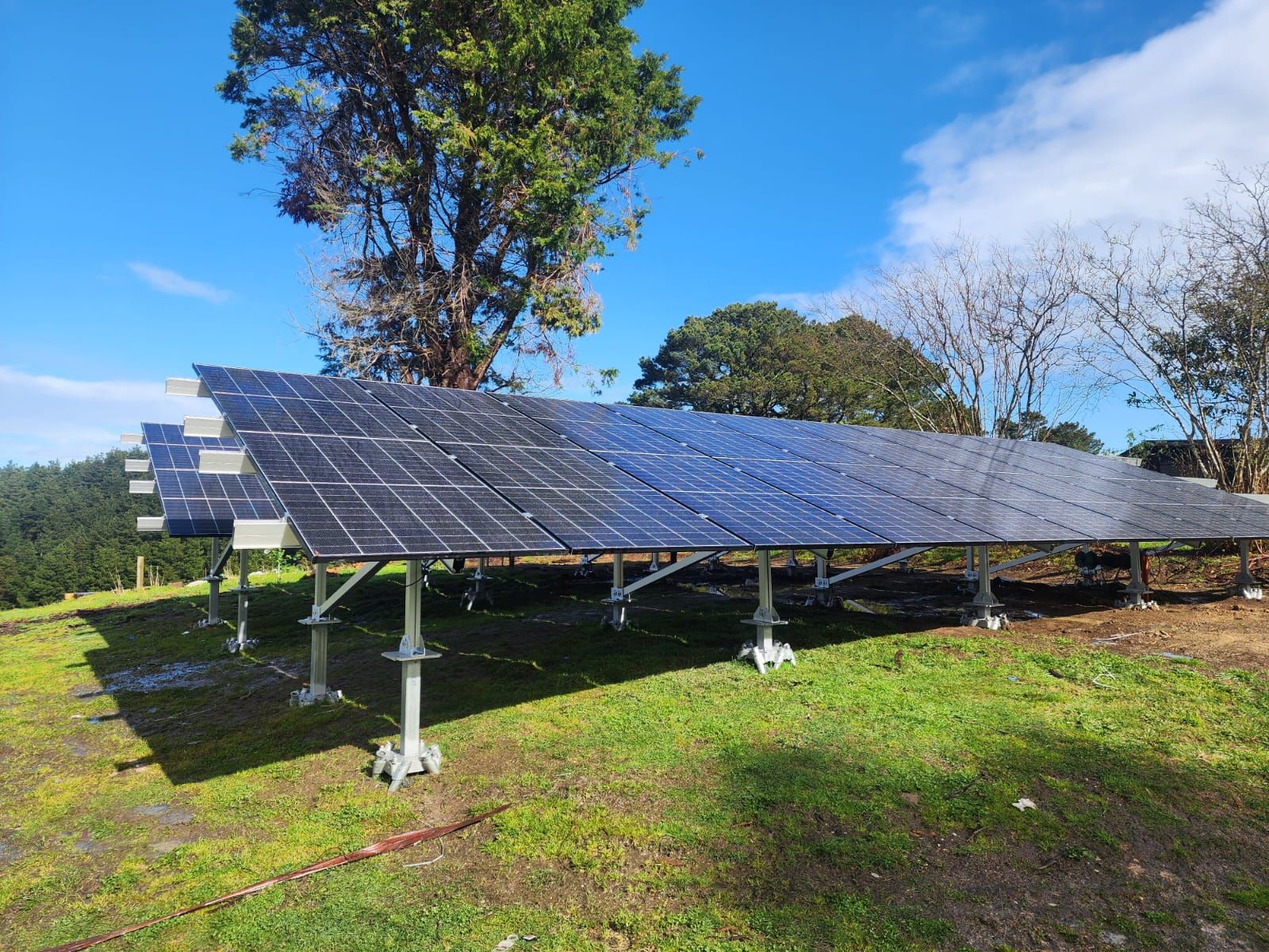 A row of solar panels with a city skyline in the background.