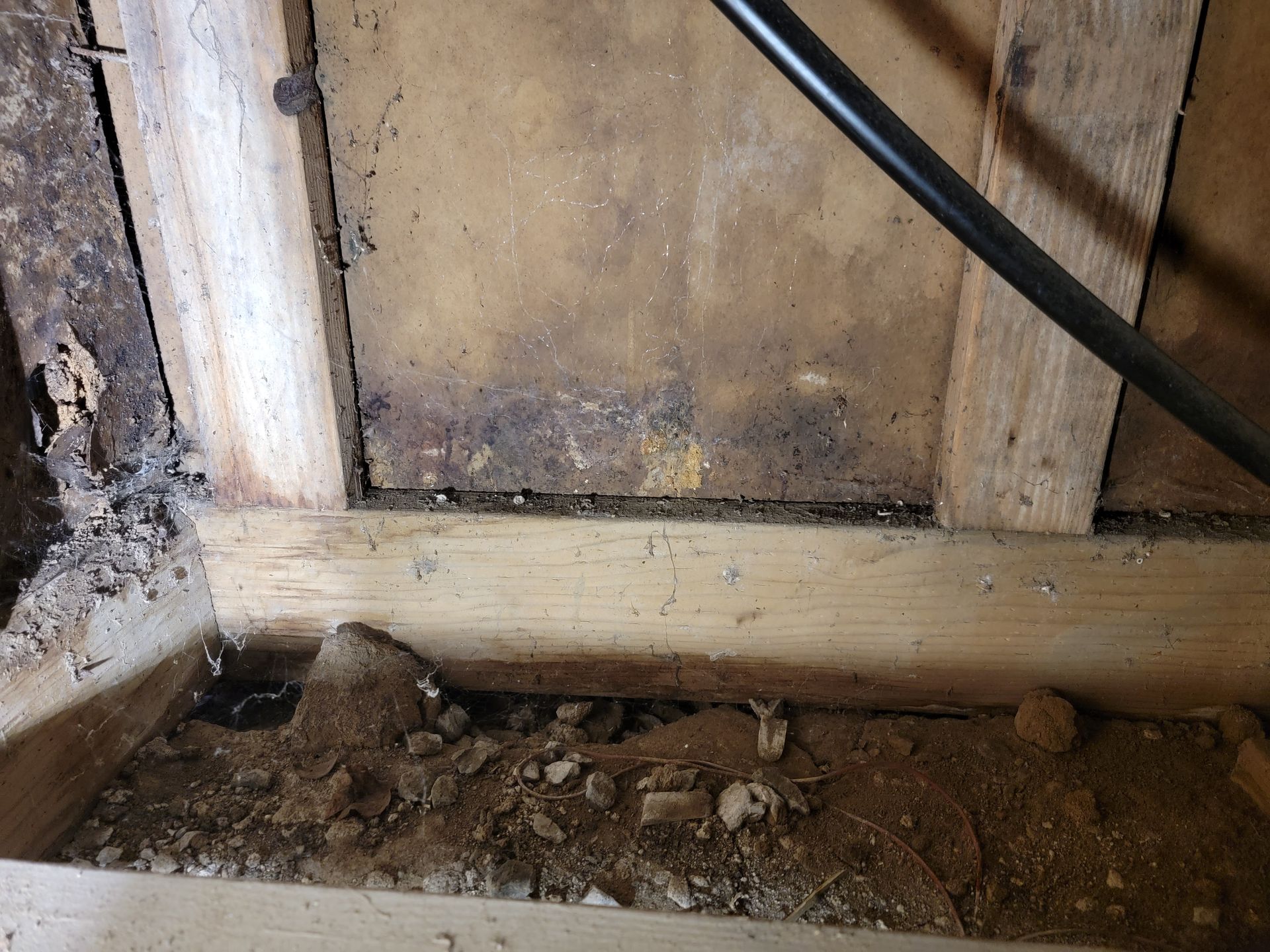 Rodent Clean Up —Norcal Decon — Fairfield, CA