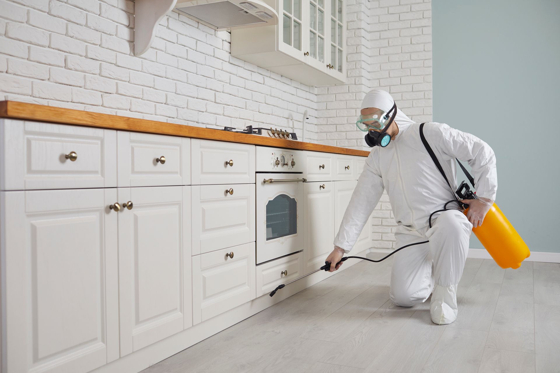 Pest control home service guy fighting parasites in the house.