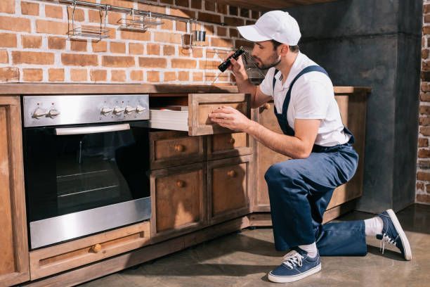 A pest control worker is performing an inspection, examining a kitchen cabinet with a flashlight.