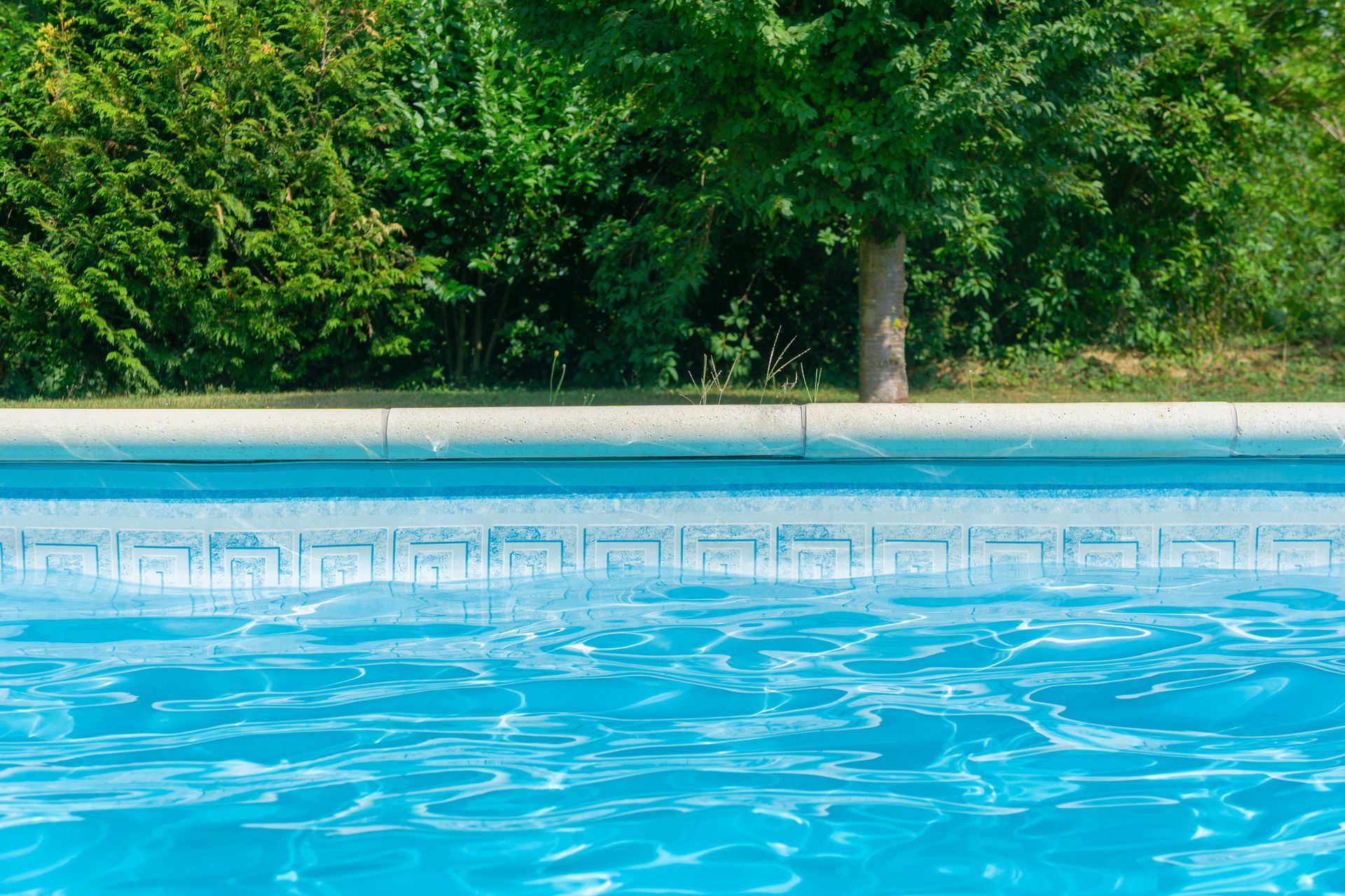 A pool with trees in the background