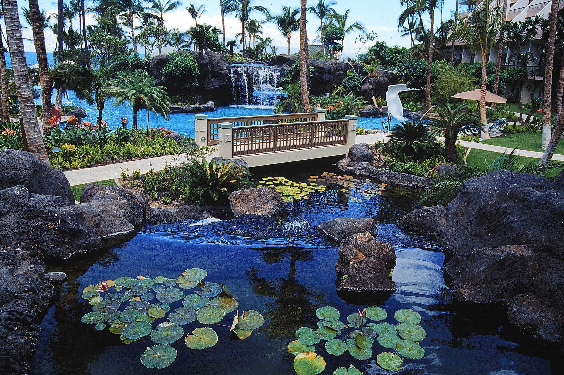 Swimming Pool Maintenance for Oahu, H - Oahu HI - Pacific AquaScapes