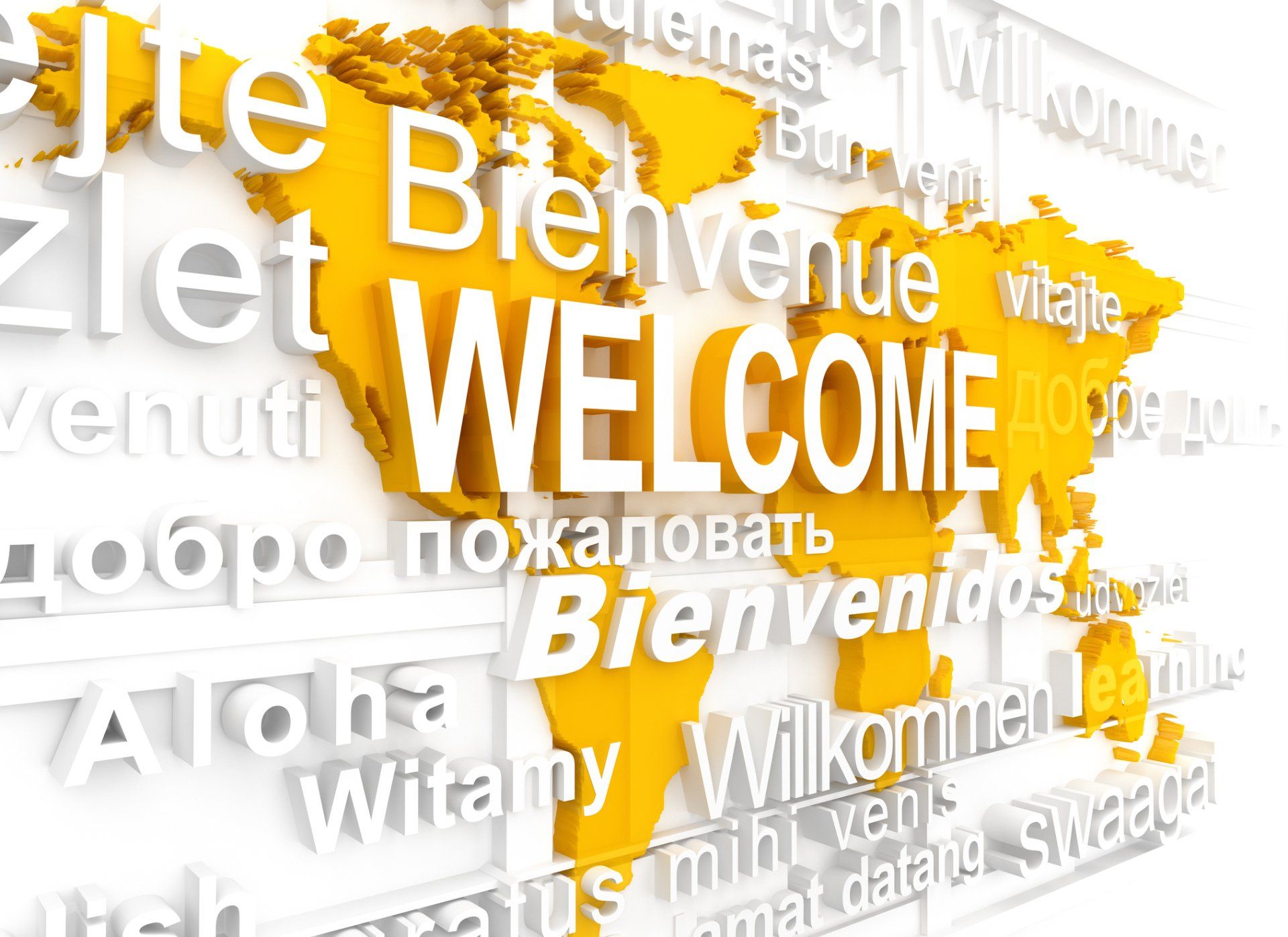 servizi di traduzione