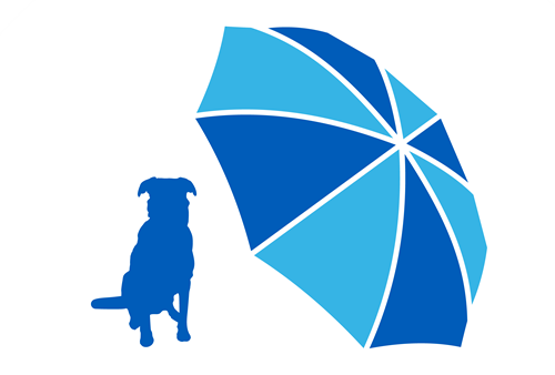 Blue dog sitting next to a large, blue umbrella, protecting it from the rain.