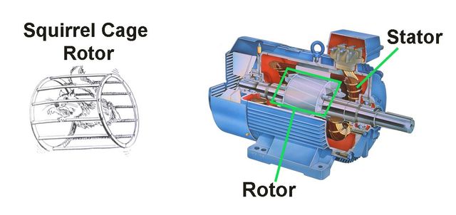 Induction Electric Motor (Squirrel Cage) Explained - saVRee
