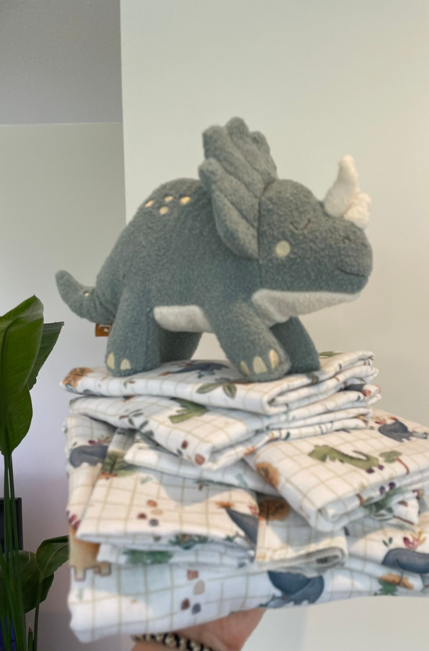 Kado set  Roarsome- Jollein -