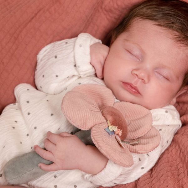 Rammelaar bloem Flowers and Butterflies - Little Dutch-