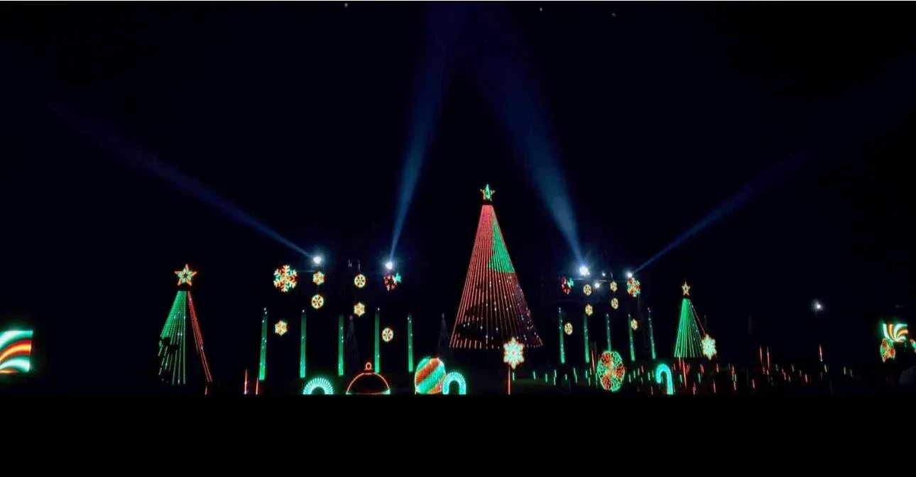 A group of christmas trees are lit up in the dark.