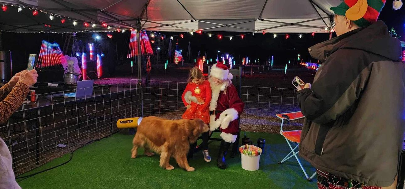 A man is taking a picture of santa claus and a dog.