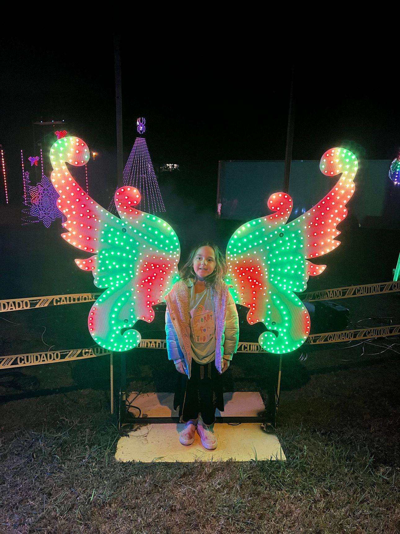 A little girl is standing in front of a display of fairy wings.