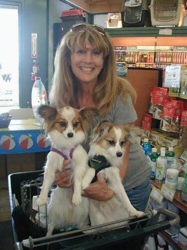 Woman Carrying Two Puppies — Salinas, CA — Pet Fun At Harden Ranch Plaza