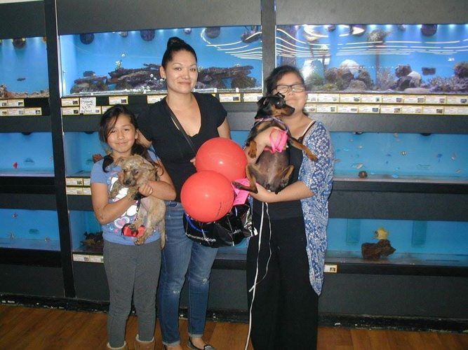 Happy Owners with their Dogs — Salinas, CA — Pet Fun At Harden Ranch Plaza