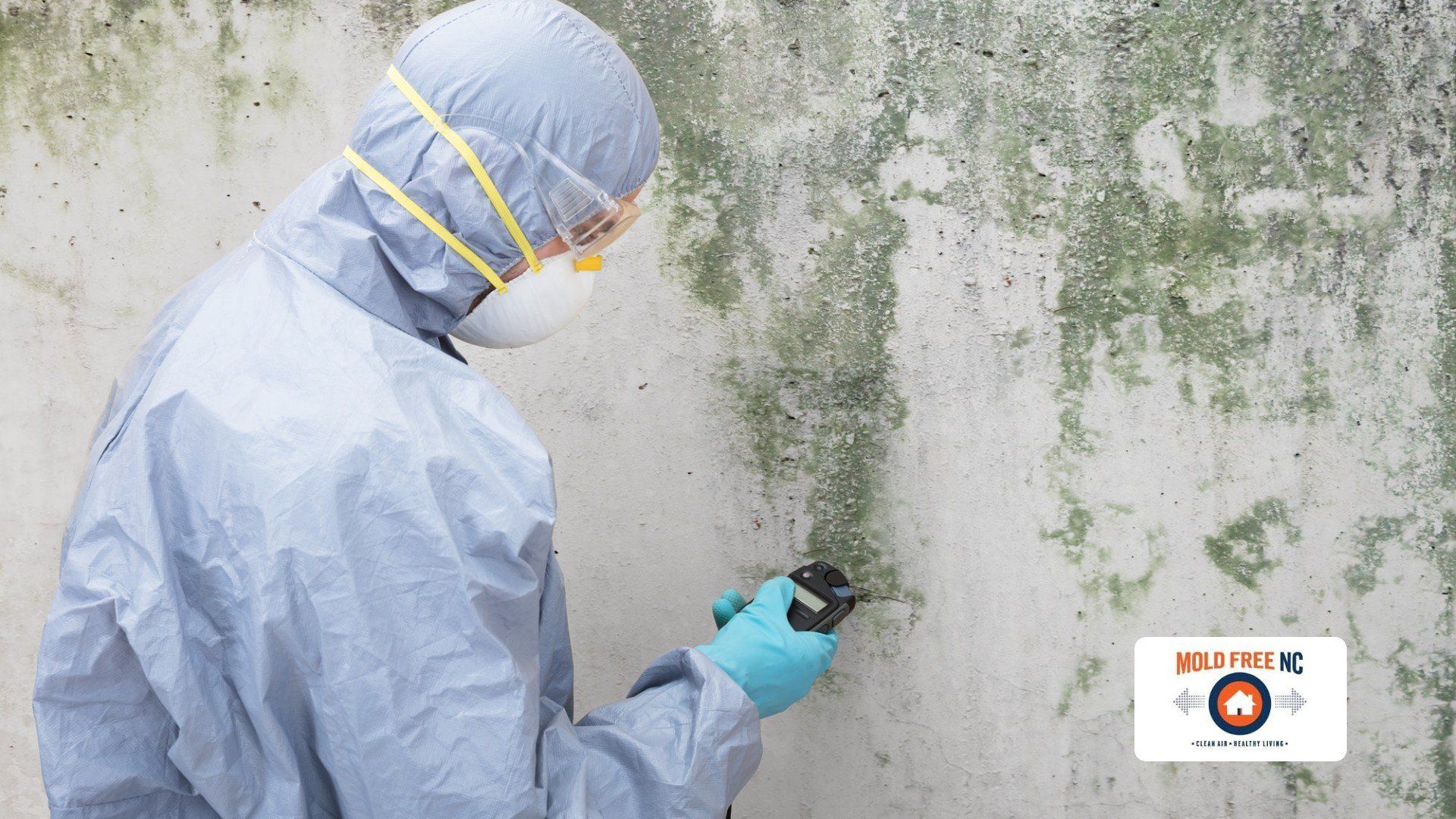 Mold Removal Naples FL