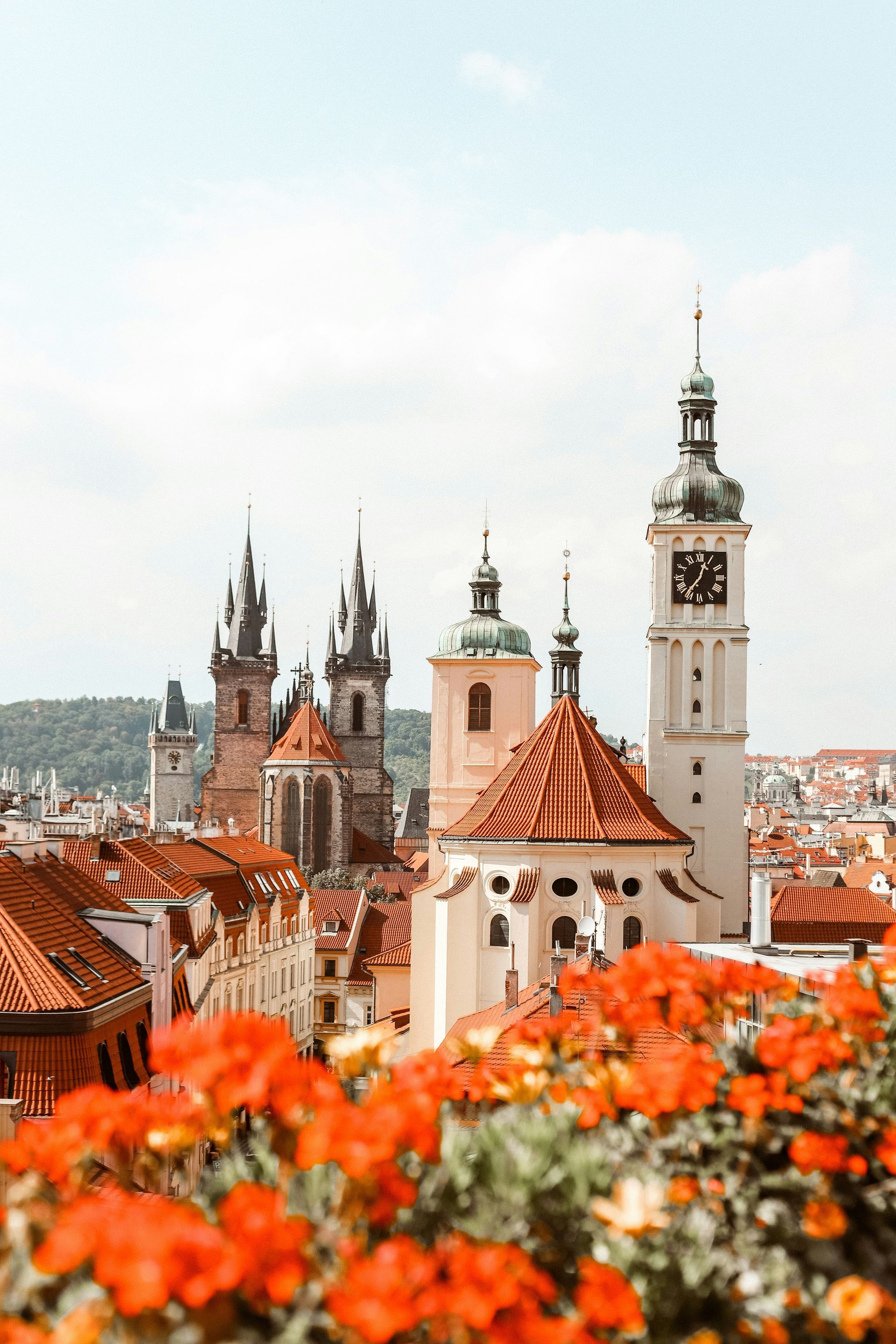 Red rooftops and church spires in a city skyline, with orange flowers in the foreground.