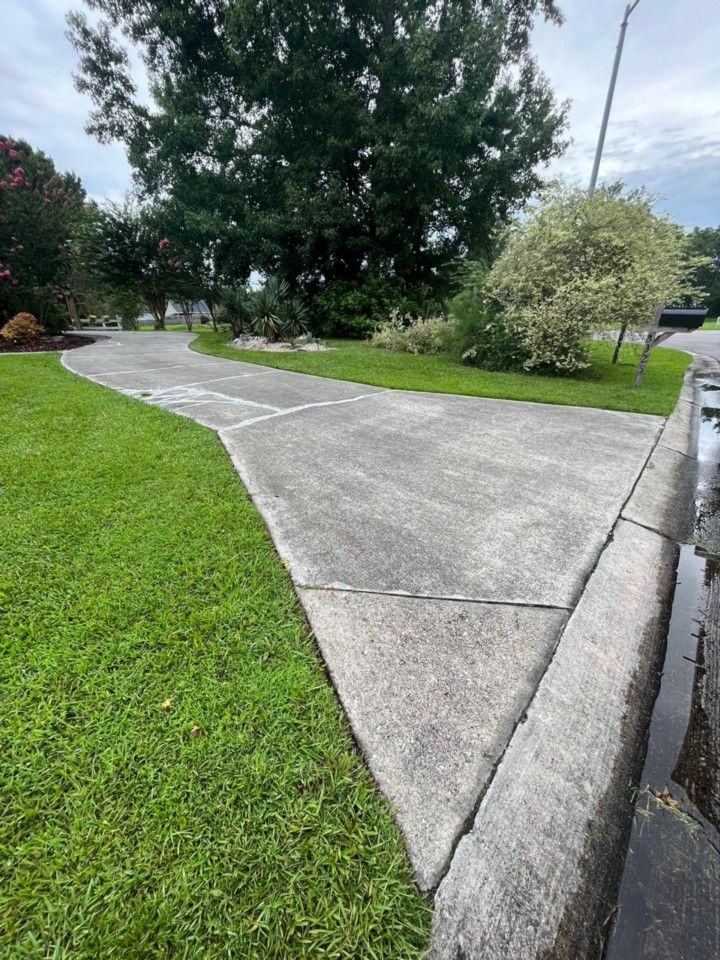 A concrete walkway surrounded by green grass and trees.