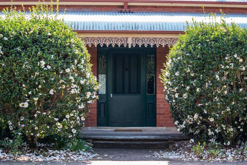 Front House Entrance With Large Green Wooden Door — Customisable Front Doors in Mackay, QLD