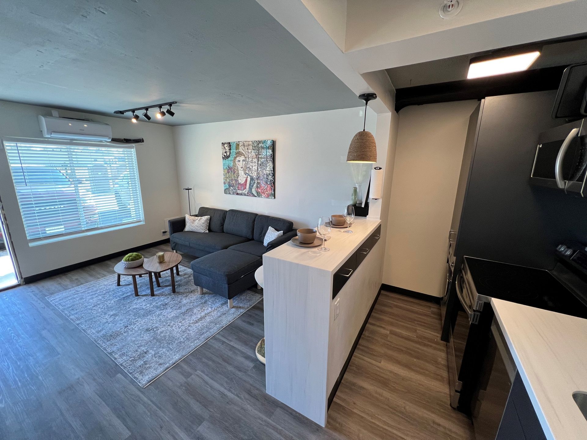 Apartment Living room and Kitchen