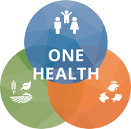 Logo ONE HEALTH