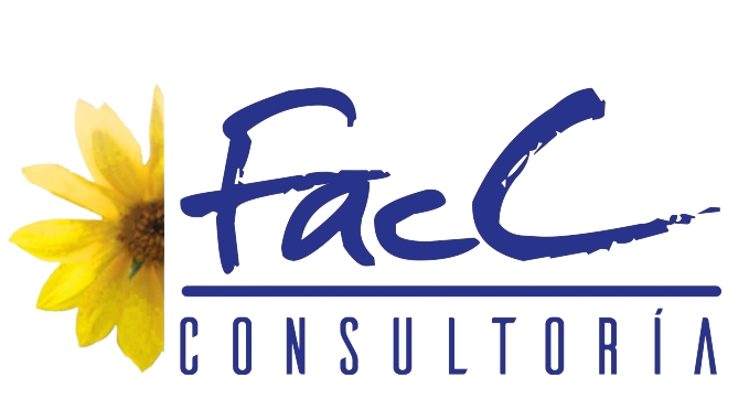 Logo Consultoria FACC 2008 SLP