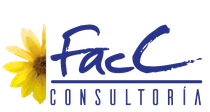 Logo Consultoria FACC 2008 SLP