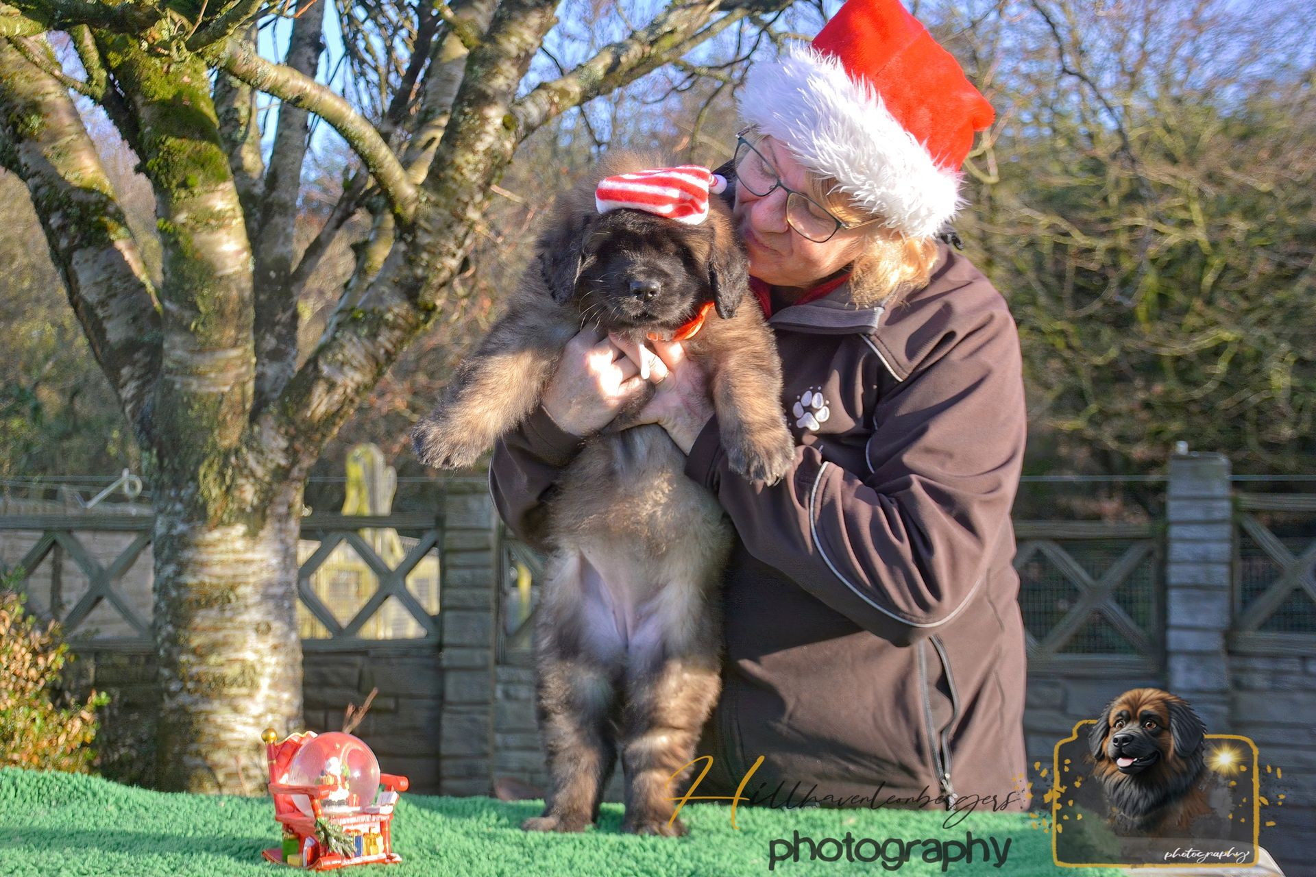 Woman in Santa hat holds puppy wearing a festive hat; set on green surface in front of a fence and trees.