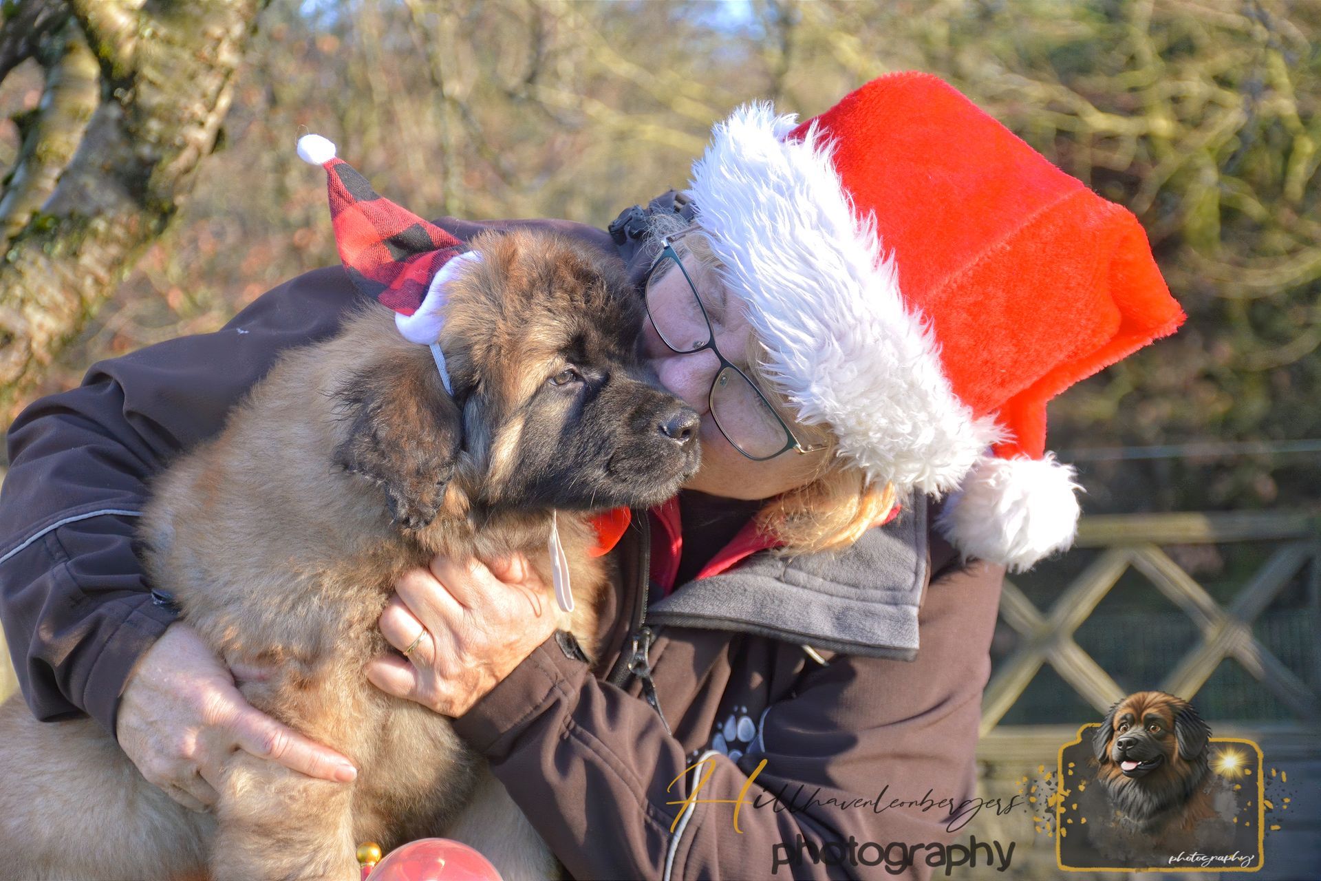 Person wearing Santa hat hugs large dog wearing a Santa-themed bow, both outdoors.