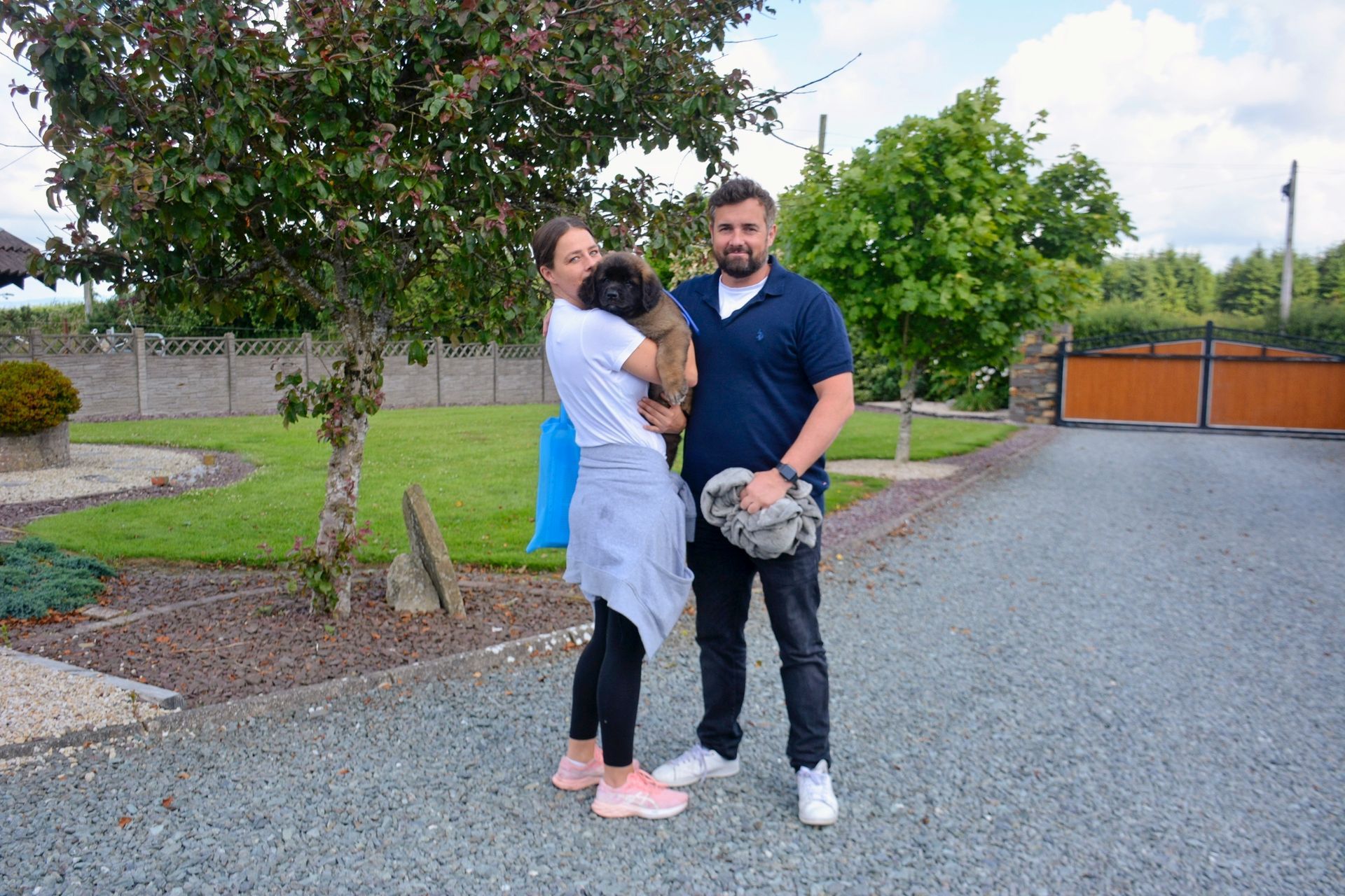 Hillhavenleonbergers leonbergers