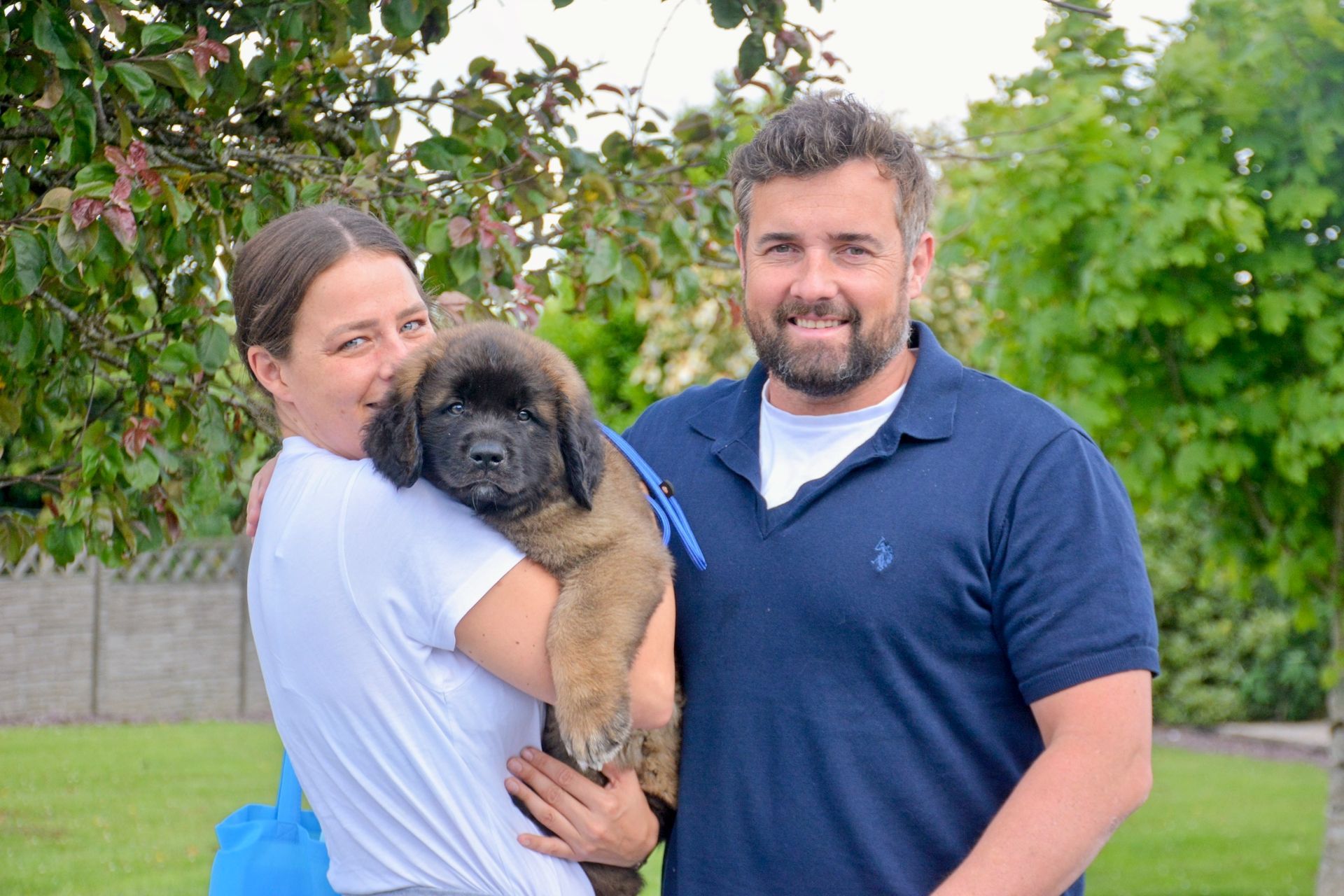 Hillhavenleonbergers leonbergers