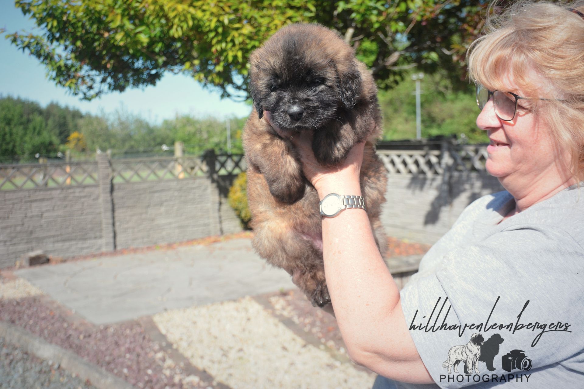 Woman holding a fluffy brown puppy outdoors. Sunny day, grey brick fence in background.