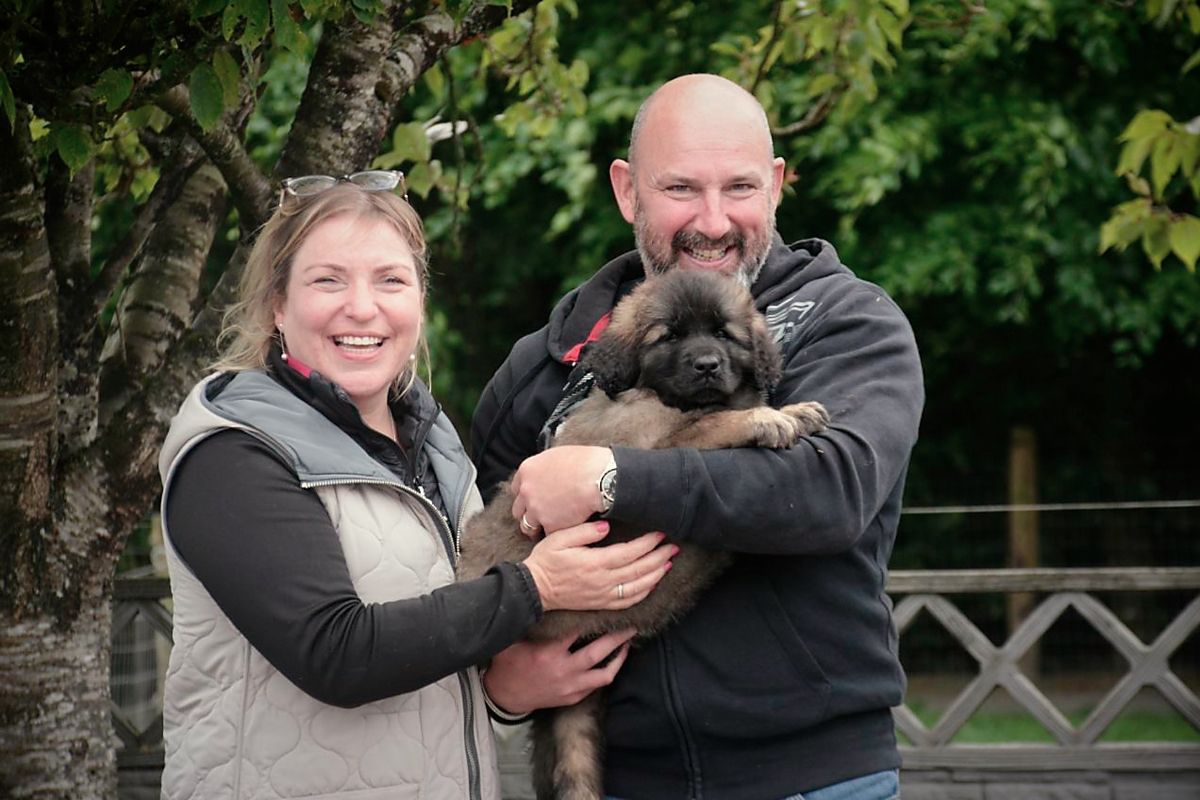 Couple holding a brown puppy, smiling outdoors near a fence and trees.
